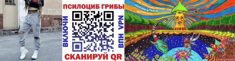 сколько стоит  Котельники  kraken зеркало  Псилоцибиновые грибы прущие грибы 
