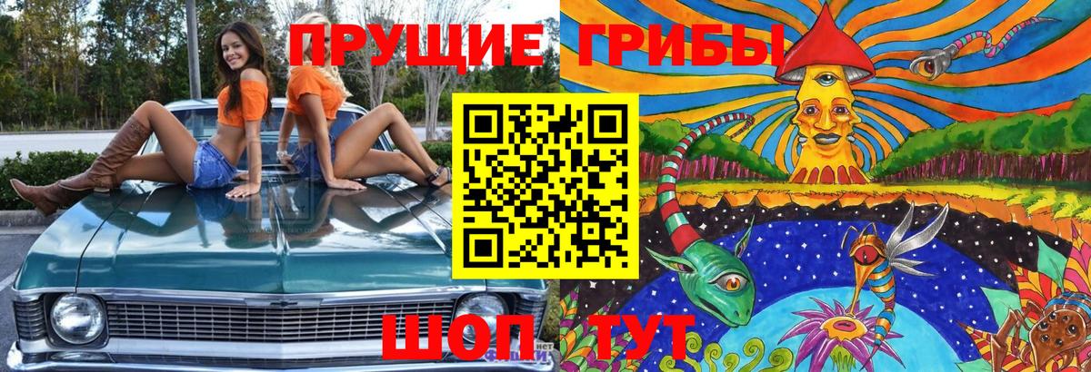 Псилоцибиновые грибы Magic Shrooms  Вход с VPN  Котельники 