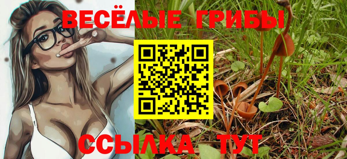 Псилоцибиновые грибы прущие грибы Котельники